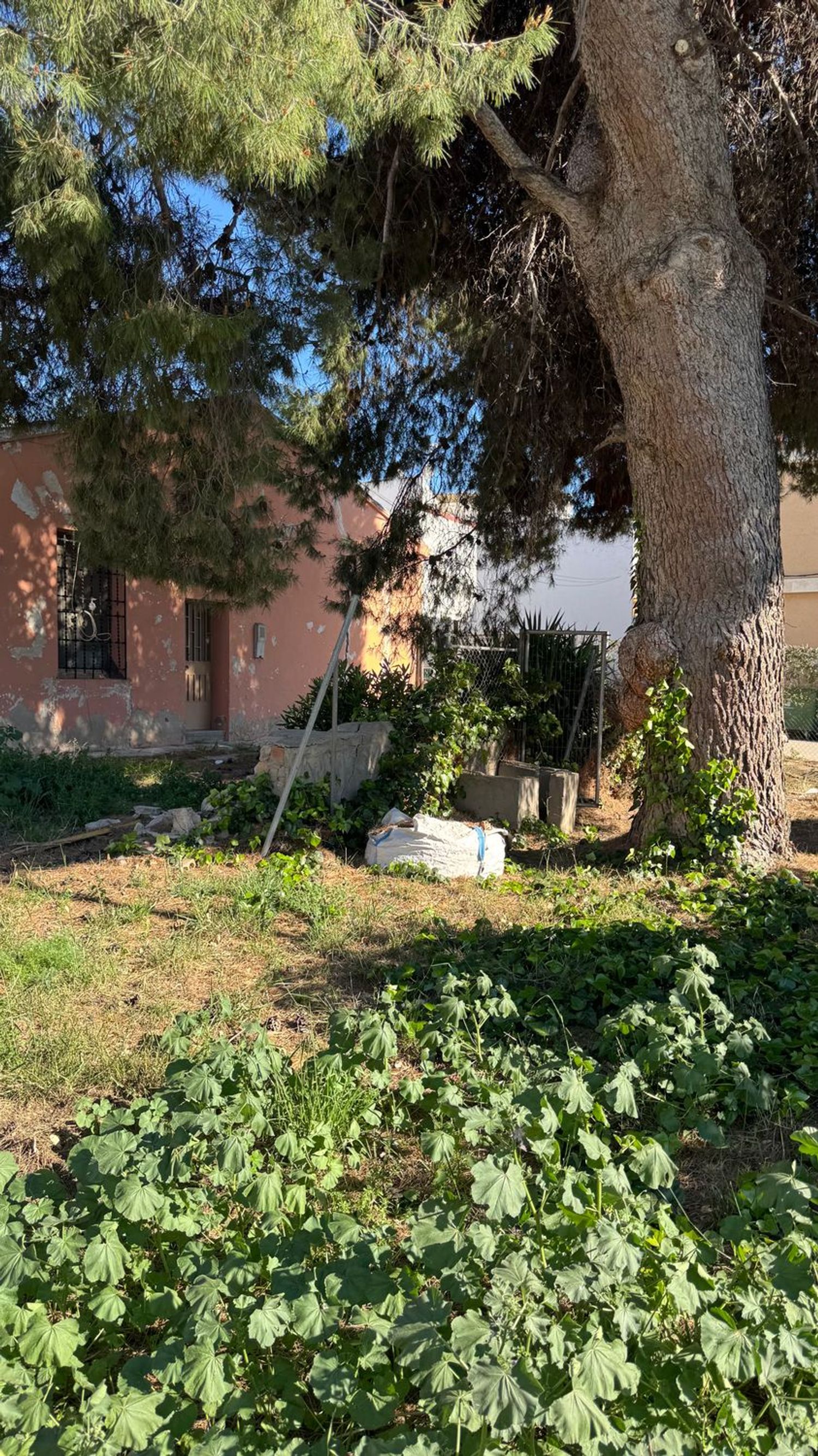 Casa de pueblo en Calle del Pilar, 1 - Foto 2