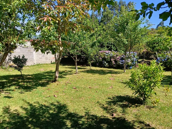 Casa o chalet independiente en Lugar Sanin, 45 - Foto 33