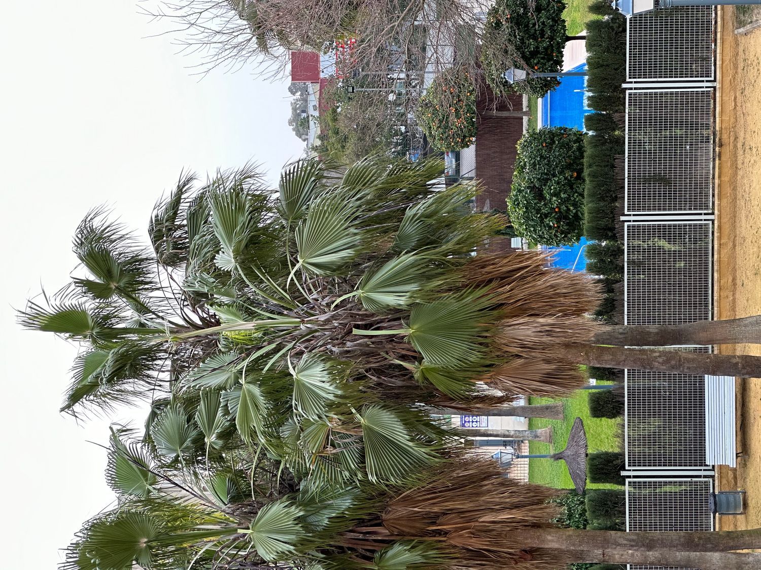 Piso en calle Cobre, 30 - Foto 13