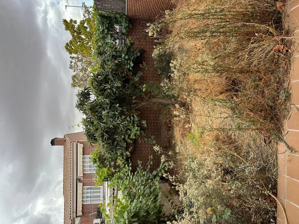 Chalet adosado en calle Pompeya, 2 - Foto 23