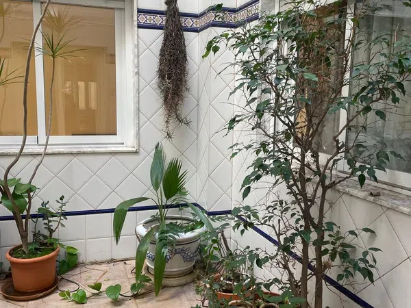 Piso en Barrio Centro - Foto 19