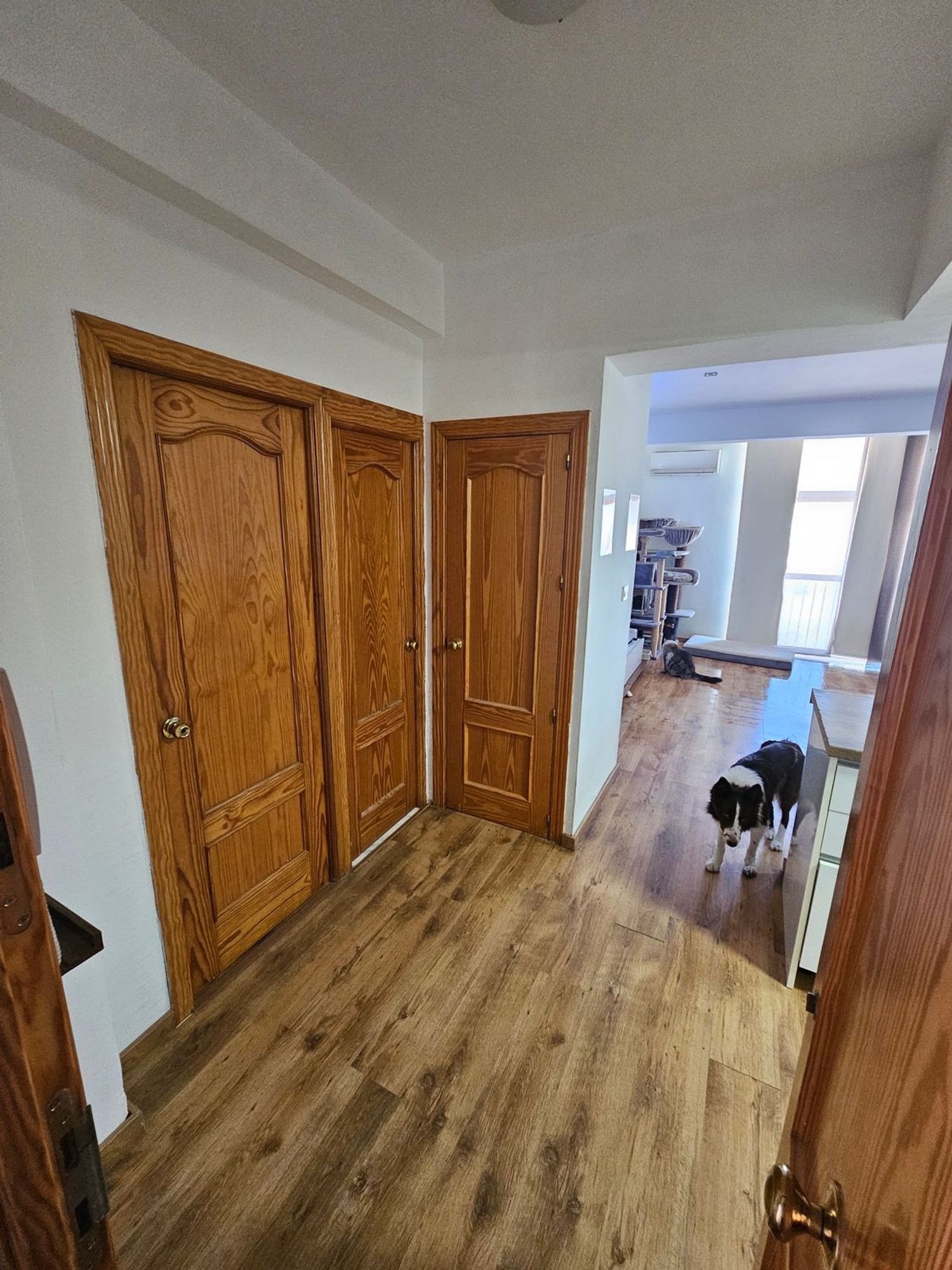 Piso en camino del Pilar, 2 - Foto 7