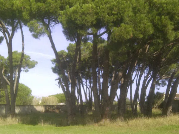 Casa independiente en calle Ceuta s/n - Foto 10