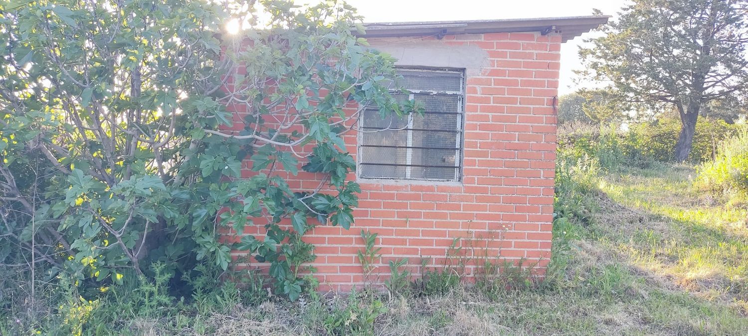 Finca rústica en Carretera Valmojado s/n - Foto 28