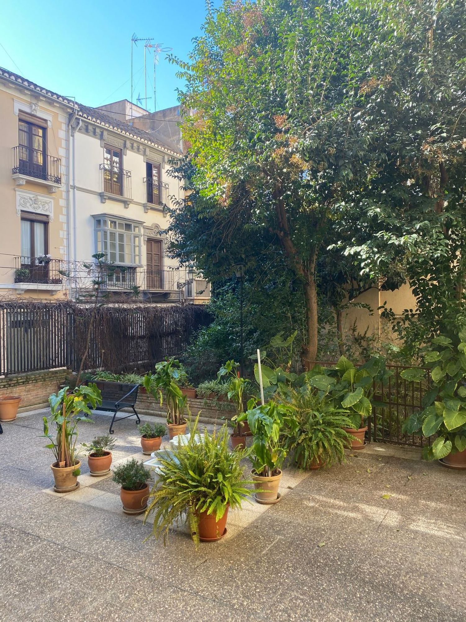 Piso en Calle Buensuceso, 22 , puerta primera, 2ºb, Recogidas - Foto 3