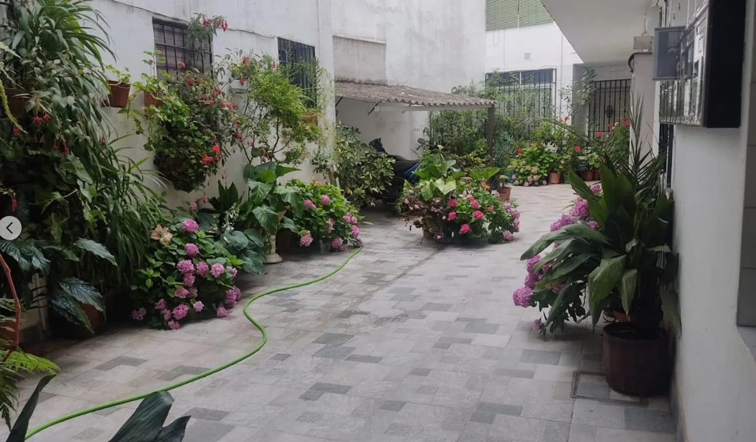 Piso en calle los Genoveses, 3 - Foto 1
