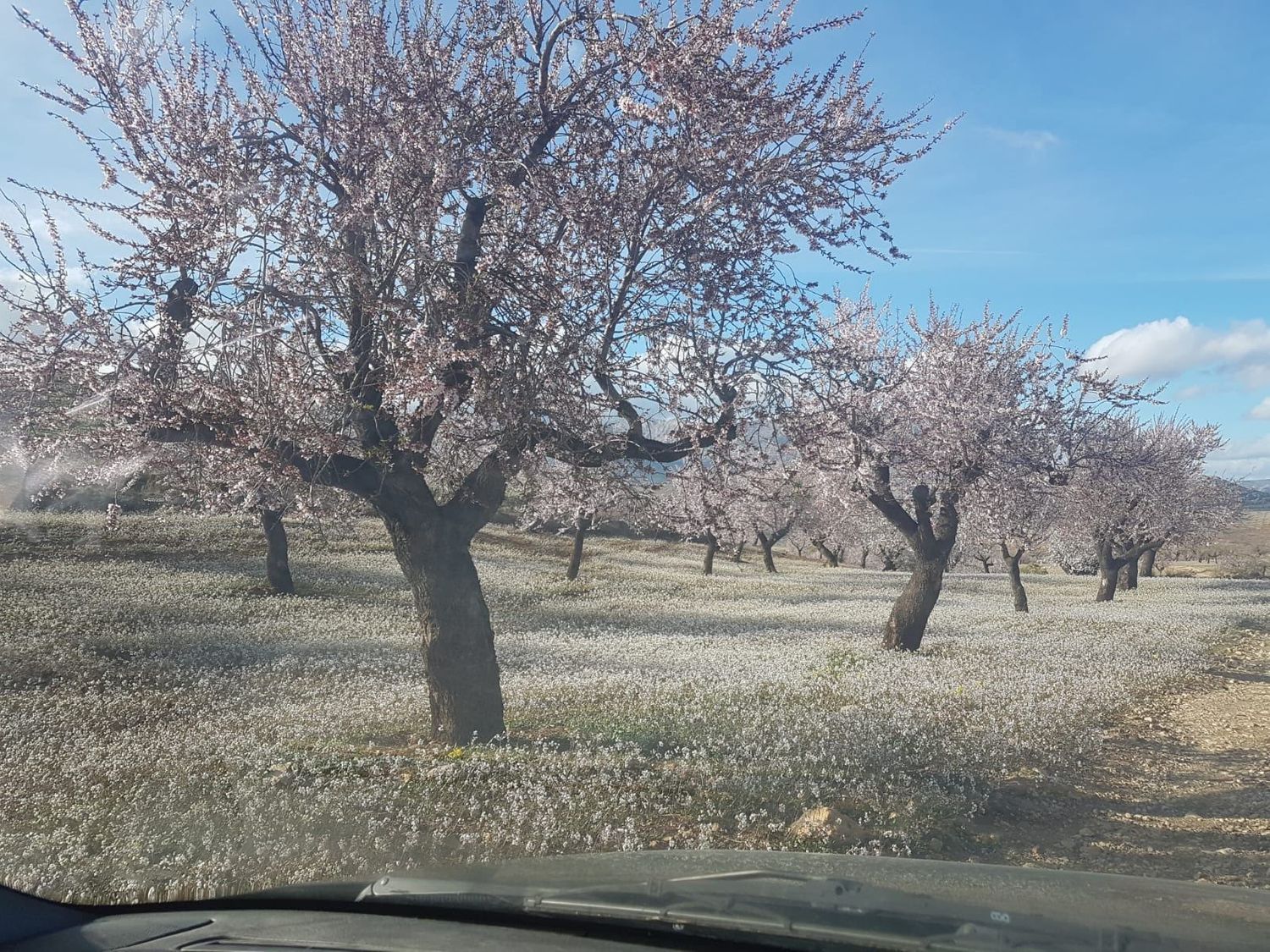 Cortijo en Cortijo en Al-7101, 1 - Foto 8