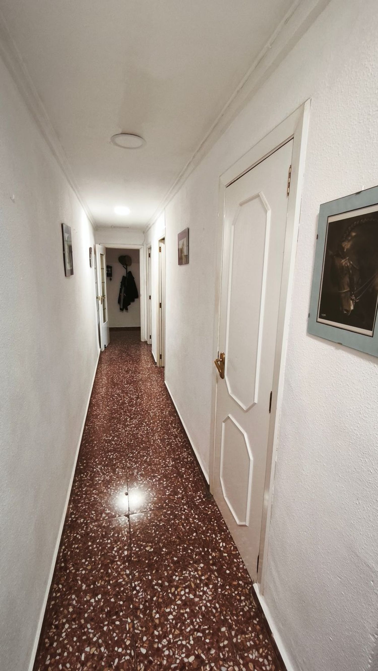 Piso en Calle Mare de Déu de Lourdes, 67, Zona Piscinas, Zona Piscinas - Foto 6