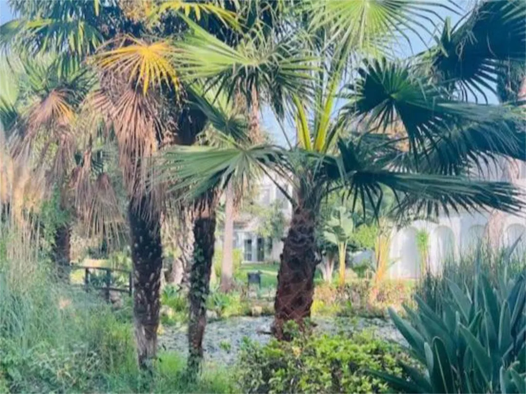 Piso en  Calle Bélgica 4 - Foto 27