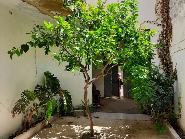 Casa o chalet independiente en Calle San Lázaro, 57 - Foto 4