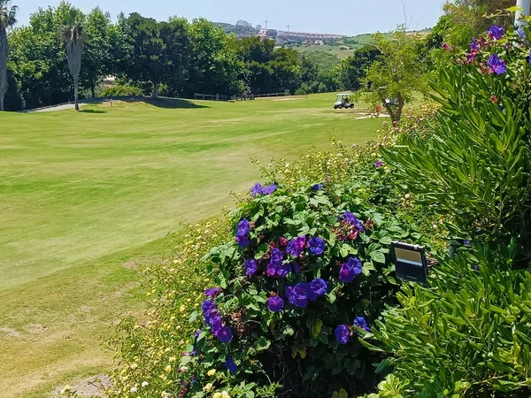 Piso en Doña Julia Golf, Doña Julia Golf - Foto 34