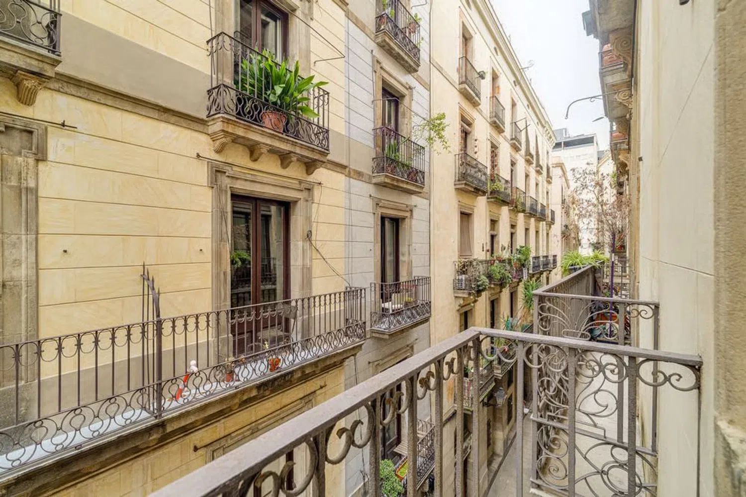 Piso en calle del Palau, 6 - Foto 11