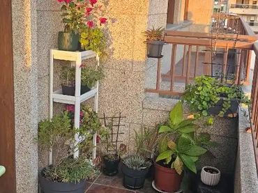 Apartamento en  PO-550 34 - Foto 5