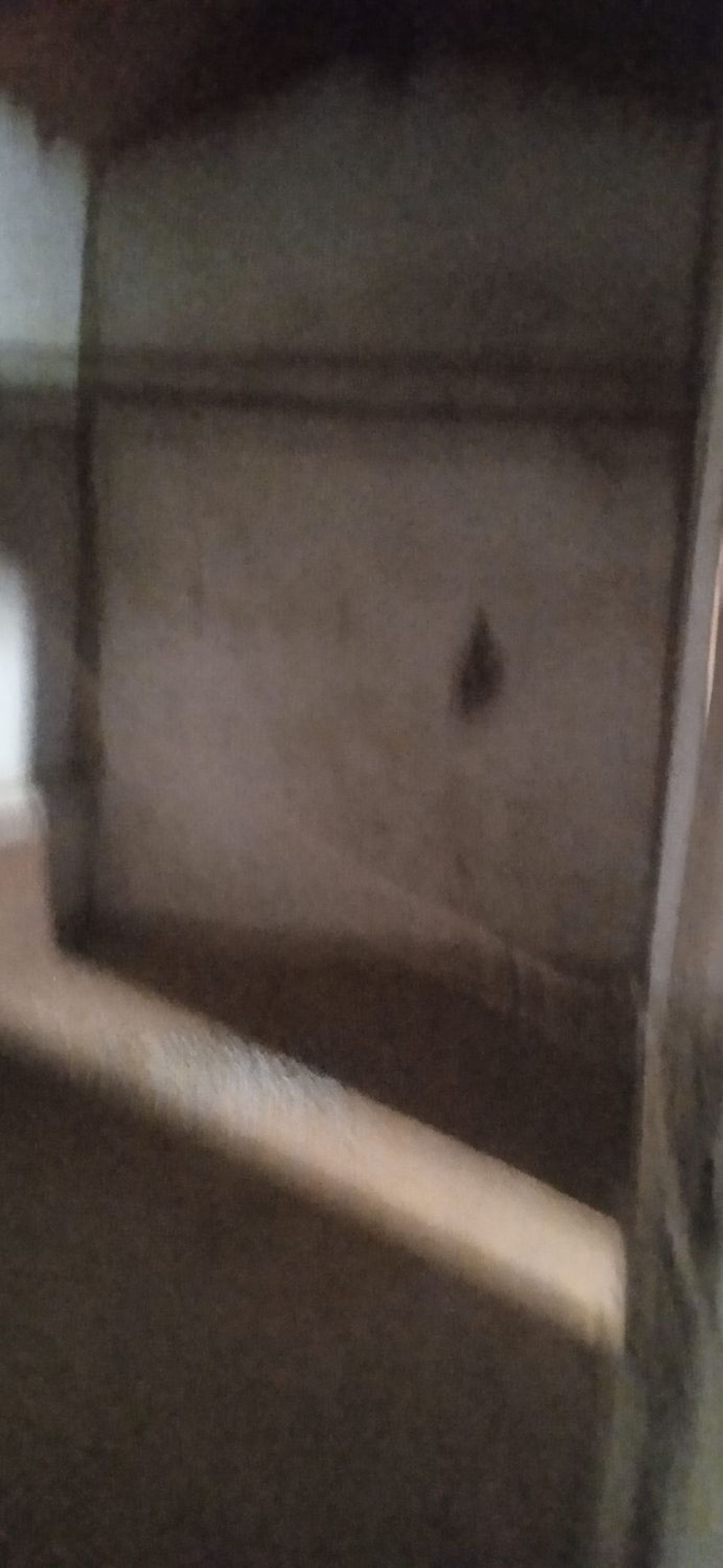Casa de pueblo en Calle Laguna, 77 - Foto 7