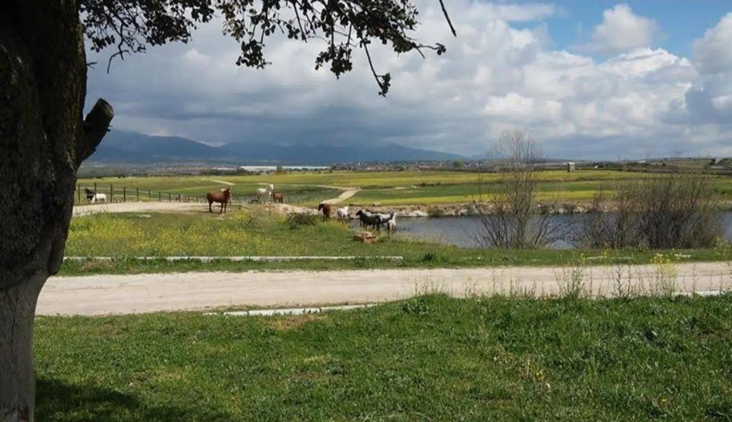 Estudio en calle de Ávila s/n - Foto 2