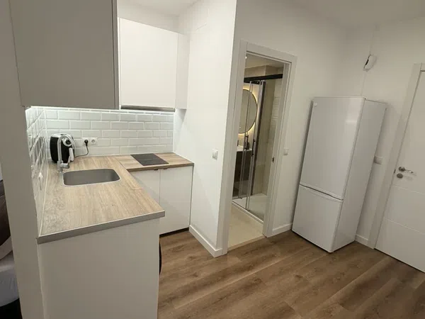 Estudio en Calle de Belzunegui, 9, Puerta Bonita - Foto 4