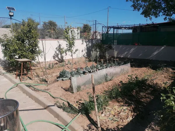 Casa o chalet independiente en Vereda Diseminado Camino, 8, Sangonera la Seca - Foto 5