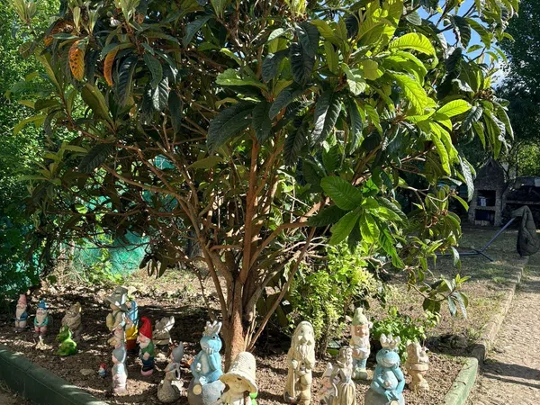 Finca rústica en Diseminado Bodegas, 1 - Foto 9