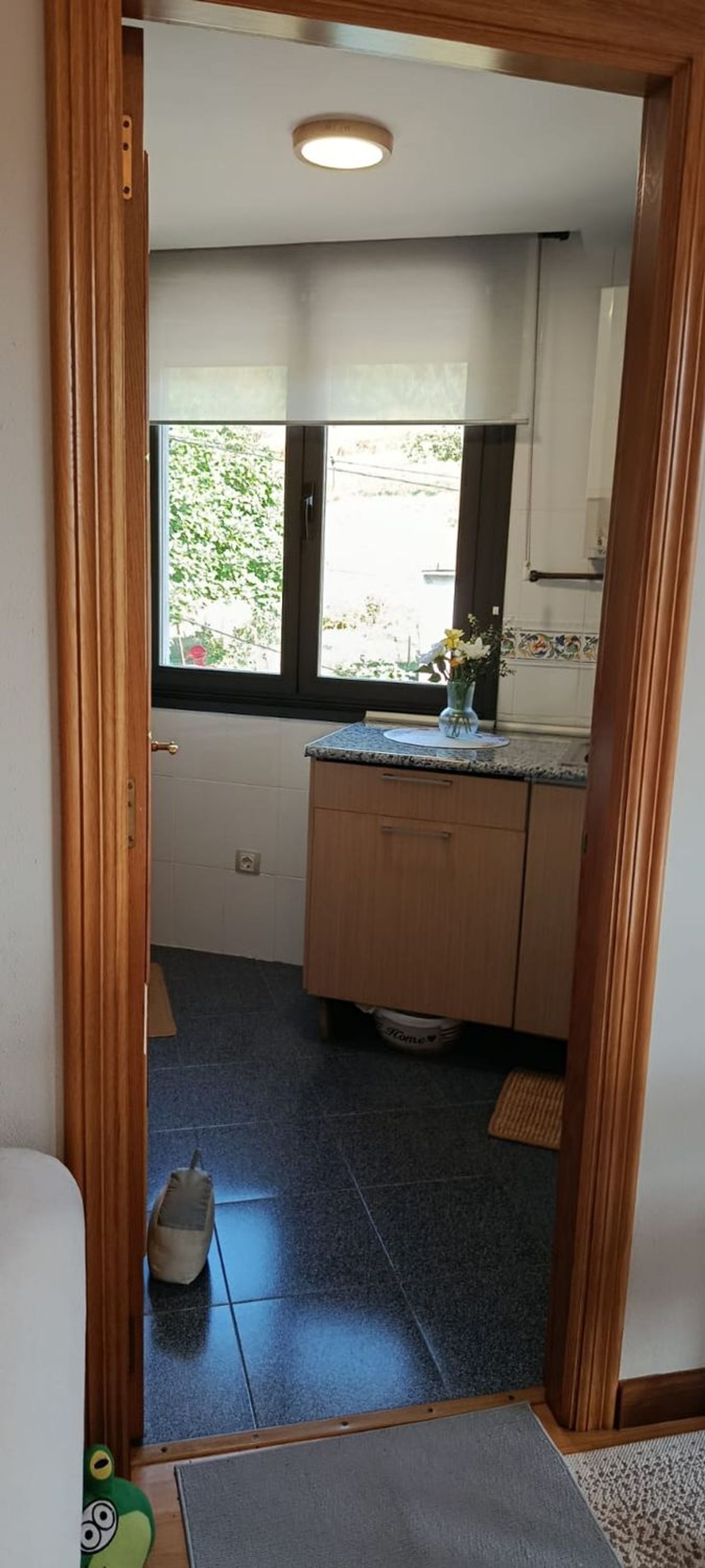 Piso en Calle de la Dehesa, 62 - Foto 24