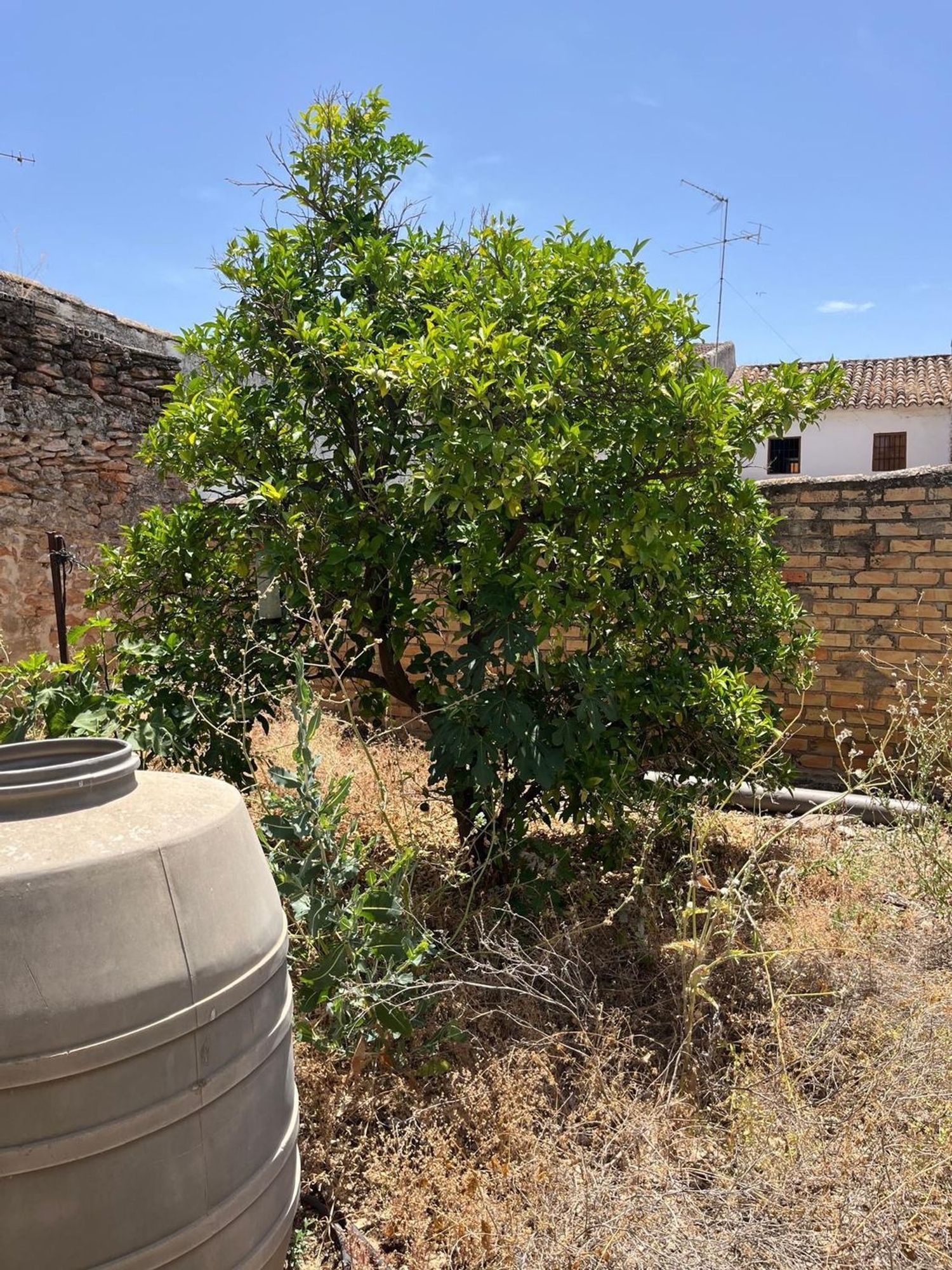 Casa de pueblo en Calle Beata, 39 - Foto 12