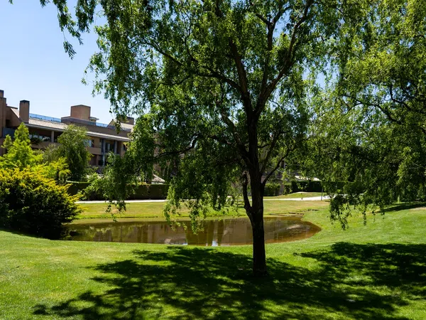 Dúplex en Paseo del Hontanar, 1, La Finca - Foto 38