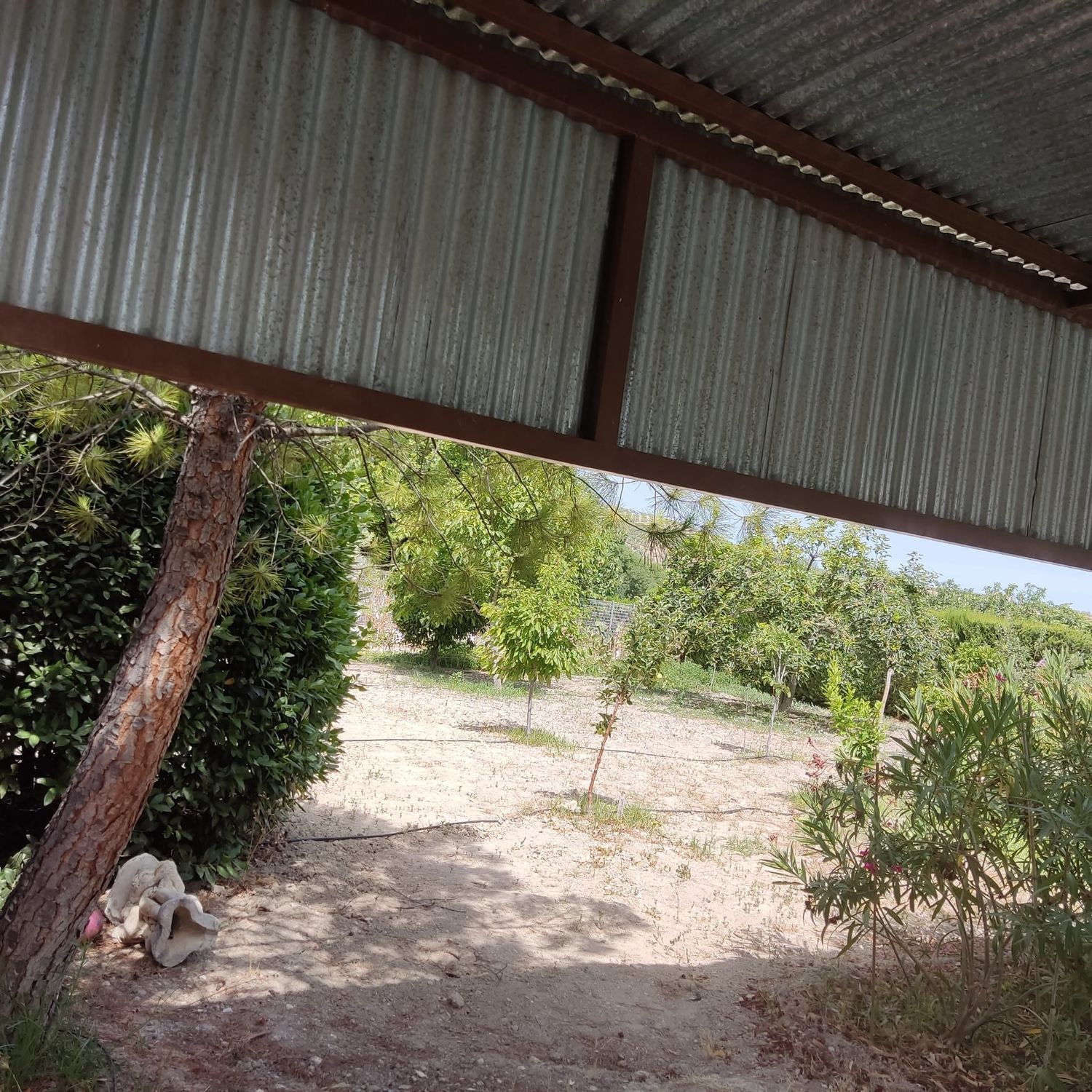 Casa o chalet independiente en Puente Jontoya, Jaén, 3200 - Foto 12