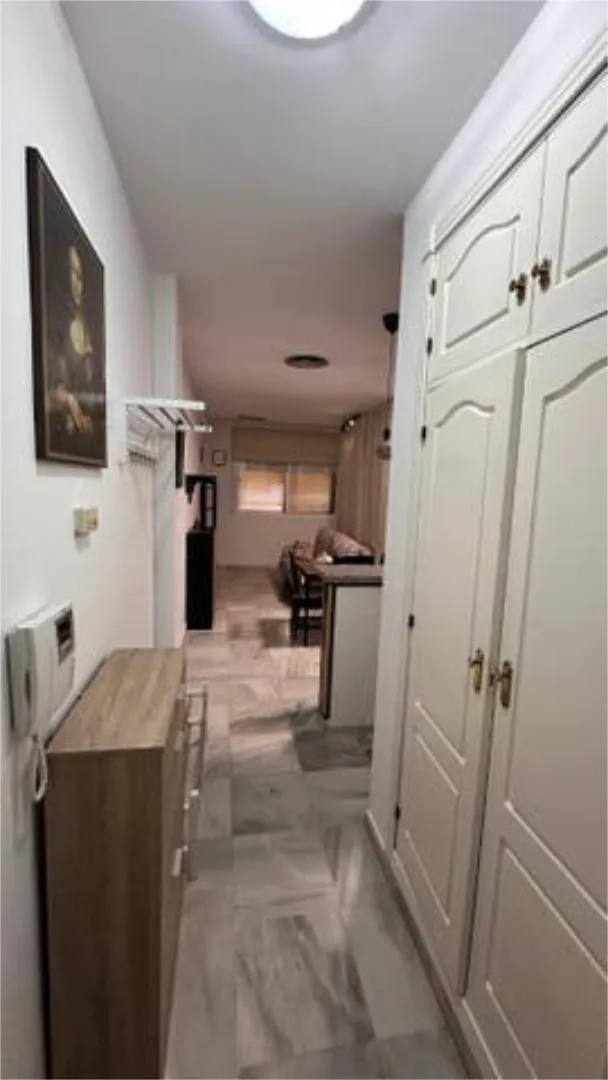 Apartamento en Plaza del Caballo - Foto 6