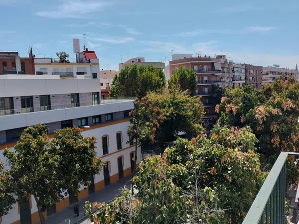 Piso en avenida de Menéndez Pelayo, 53 - Foto 6