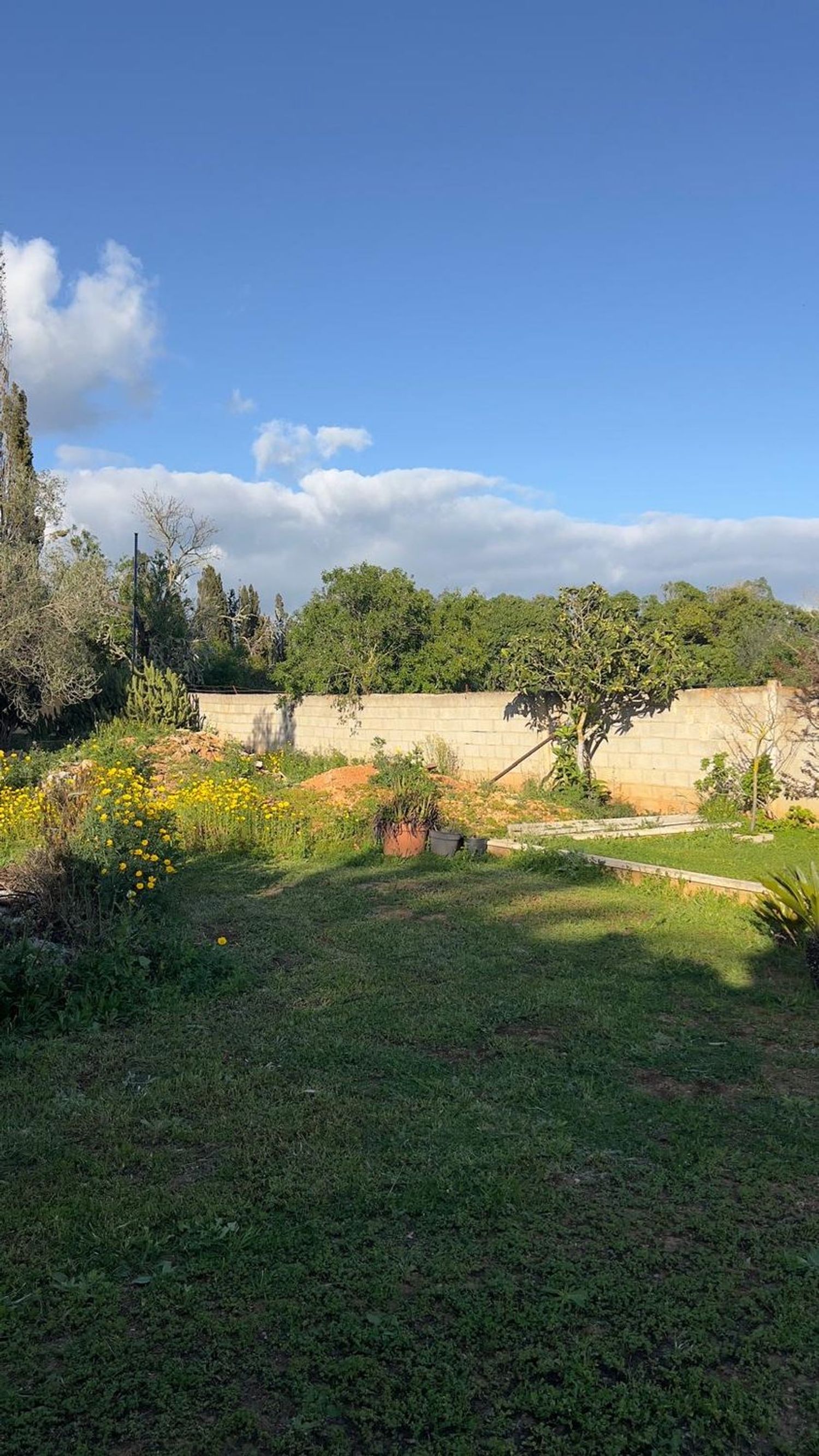 Casa independiente en Llucmajor Interior - Foto 18