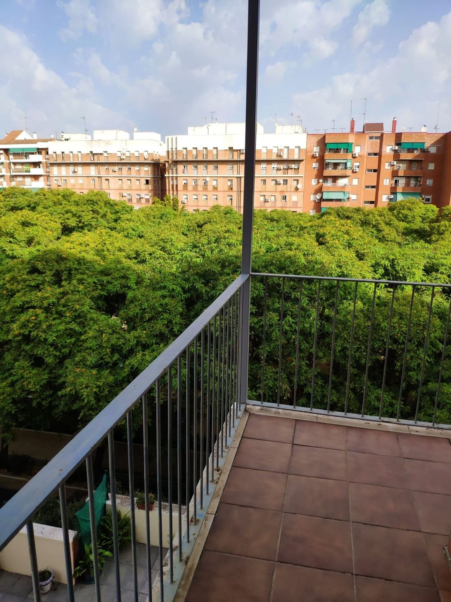 Piso en Avenida Andalucía, 6 D, Las Torres - Guadalupe, Las Torres - Guadalupe - Foto 5