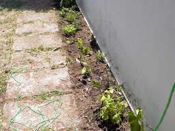 Piso en Passatge d'Artà, 2, Dalt Sant Joan-Plaça Eivissa - Foto 17