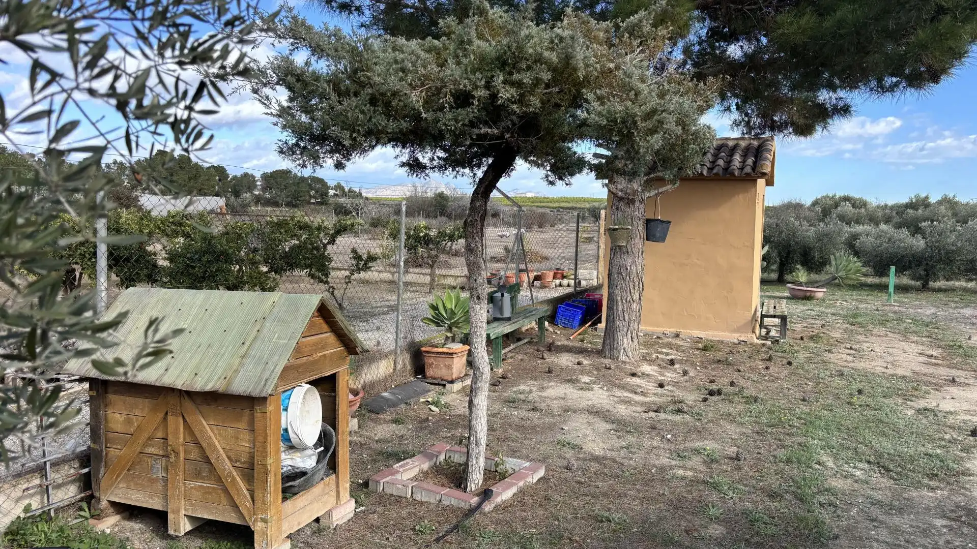 Finca rústica en  Calle Fc Ladrillo 11 - Foto 6