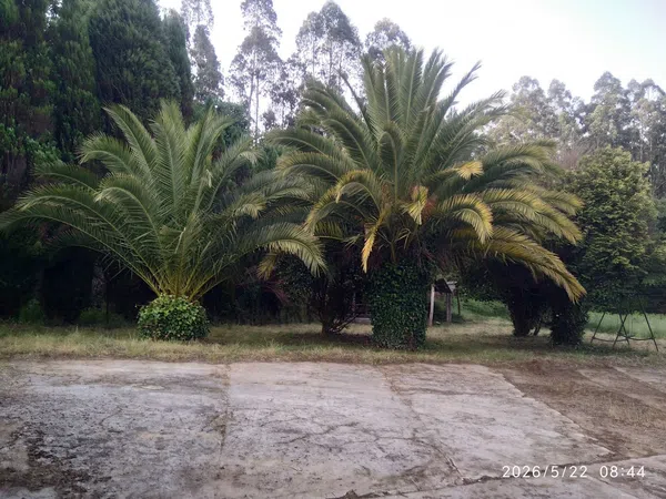 Casa o chalet independiente en San Roman de Montoxo, 11 - Foto 13