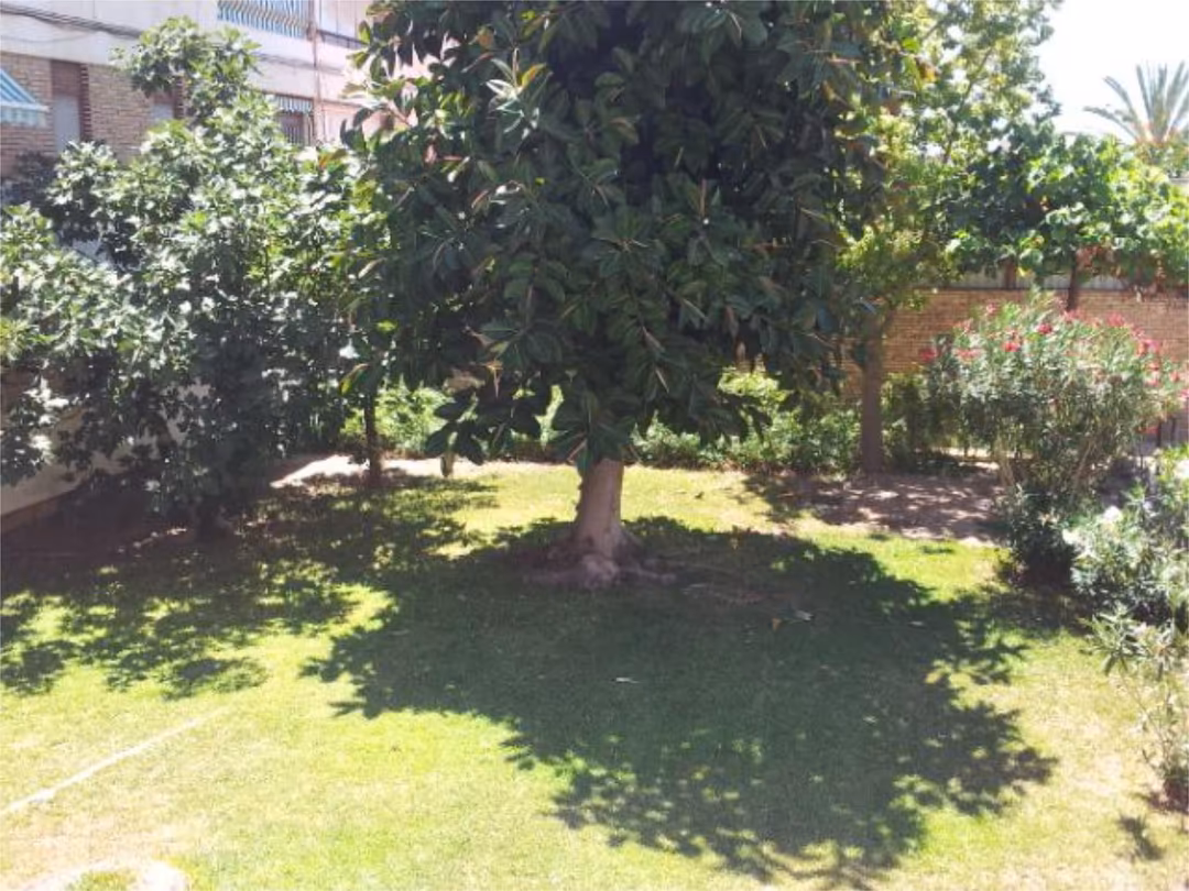 Piso en  Calle Pintor Antonio Amorós 1 - Foto 17