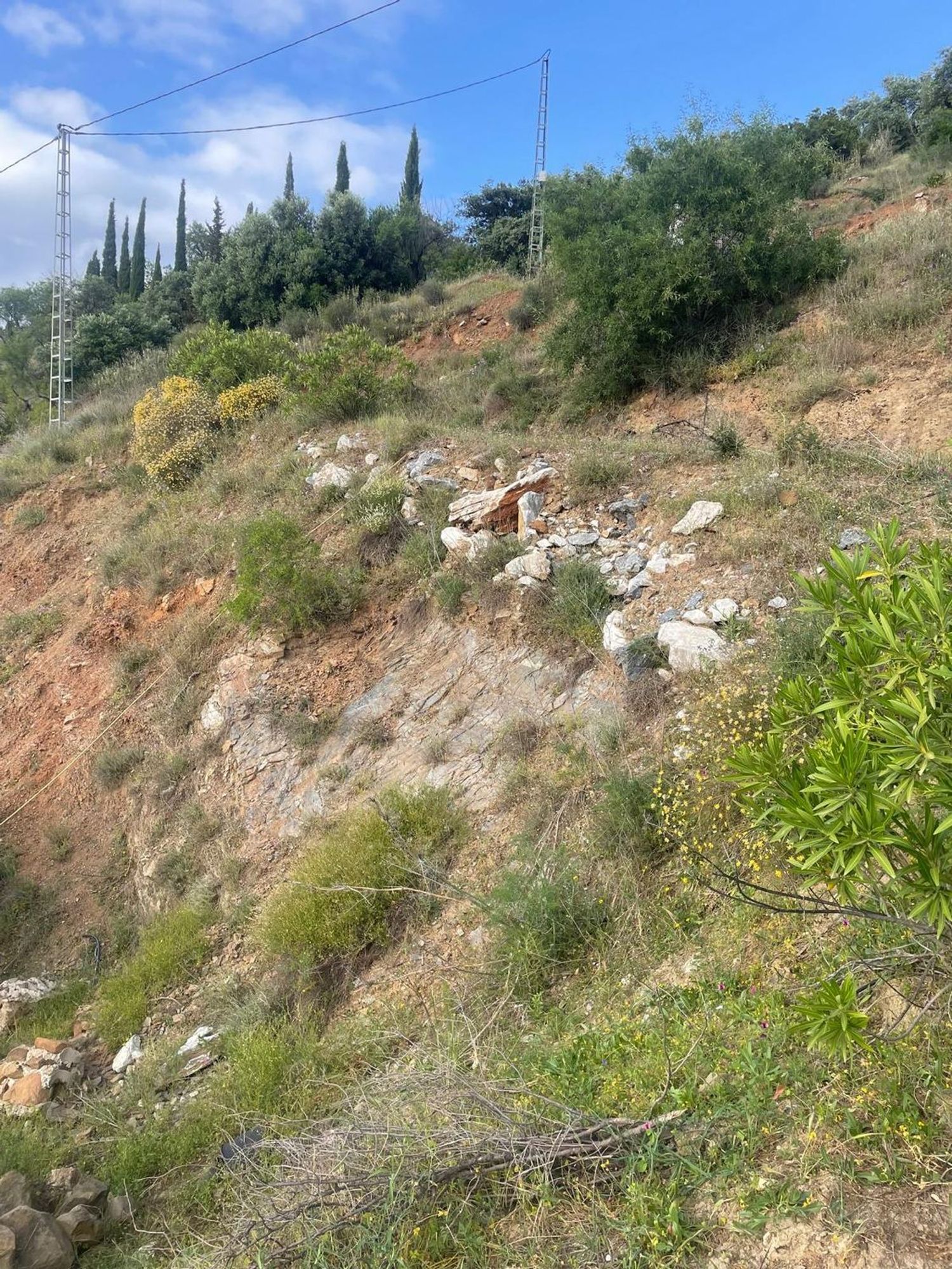 Finca rústica en Camino de Alozaina, 10 - Foto 5