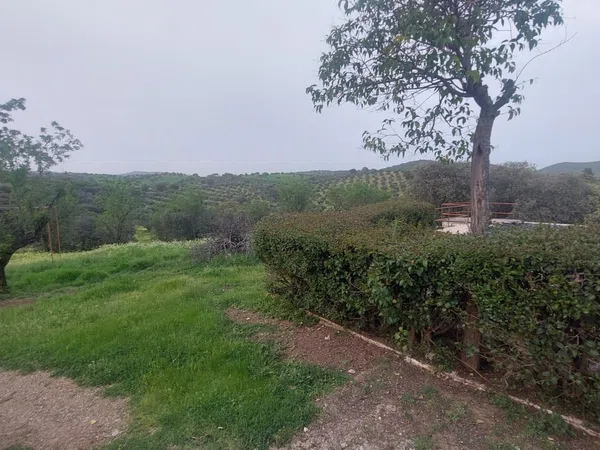 Cortijo en Cortijo en Cr-610, 8 - Foto 11