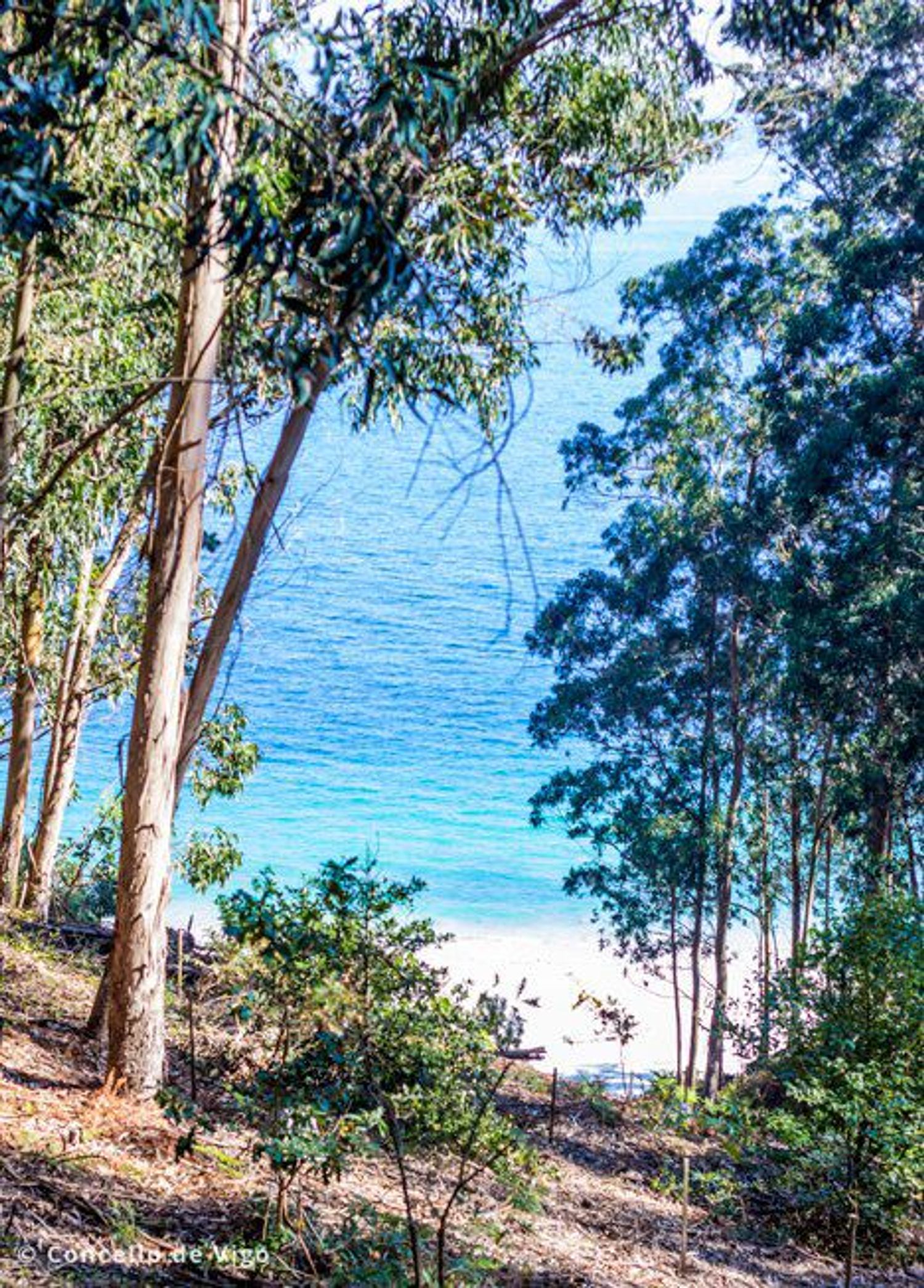 Chalet pareado en camino Sanín, 70 - Foto 32