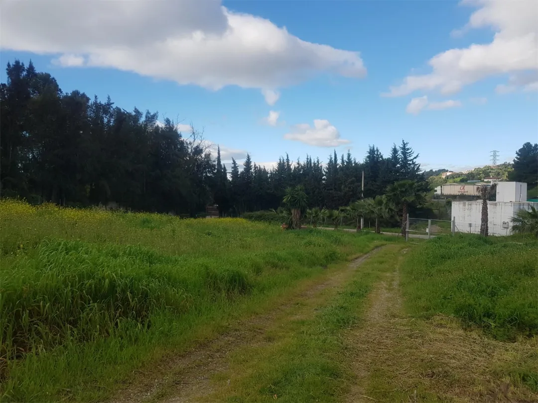 Finca rústica en  Paraje Bujeo Valeriano 26 - Foto 1