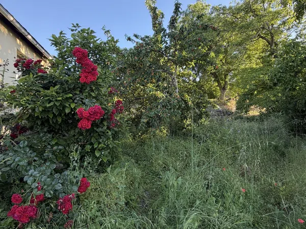 Casa rural en Bascois, 4 - Foto 23