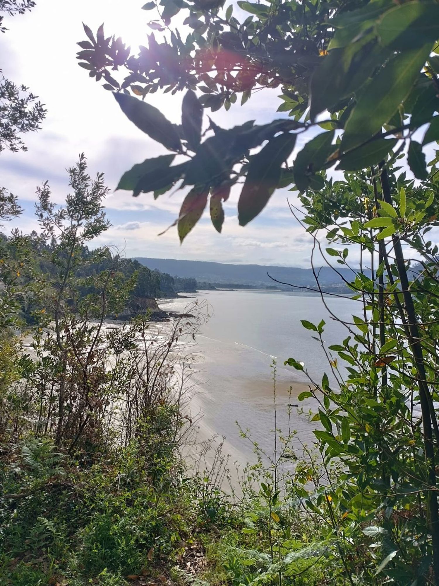 Ático en Avenida Arenal, 33 - Foto 4