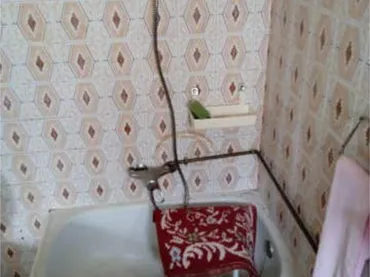 Chalet en 14200 Peñarroya-Pueblonuevo - Foto 5