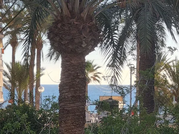 Piso en Avenida de la Costa Blanca, 146, Playa de San Juan - Foto 18