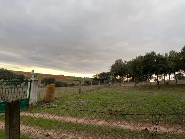 Finca rústica en Avenida de Constitución s/n - Foto 22