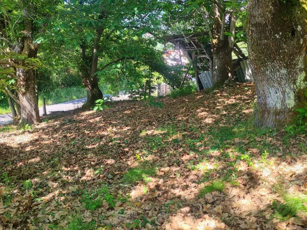 Casa de pueblo en Sacardebois, 605 Ou - Foto 14
