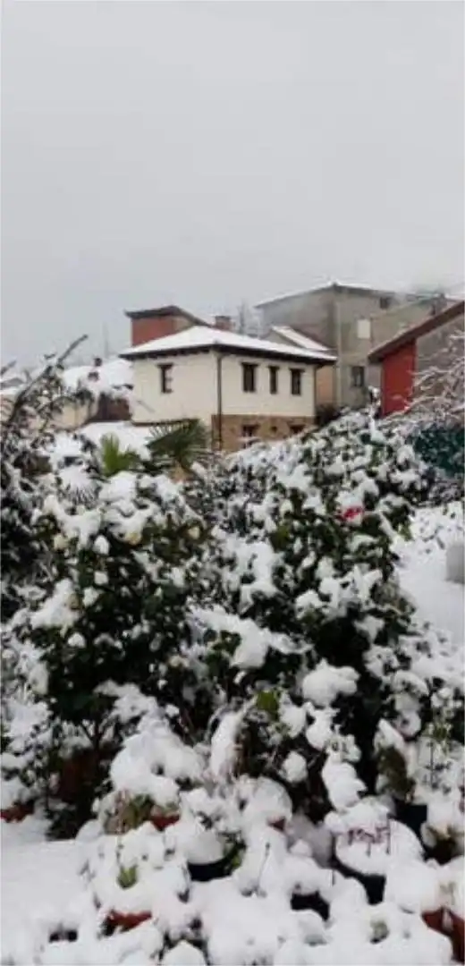 Chalet en canzana - Foto 4