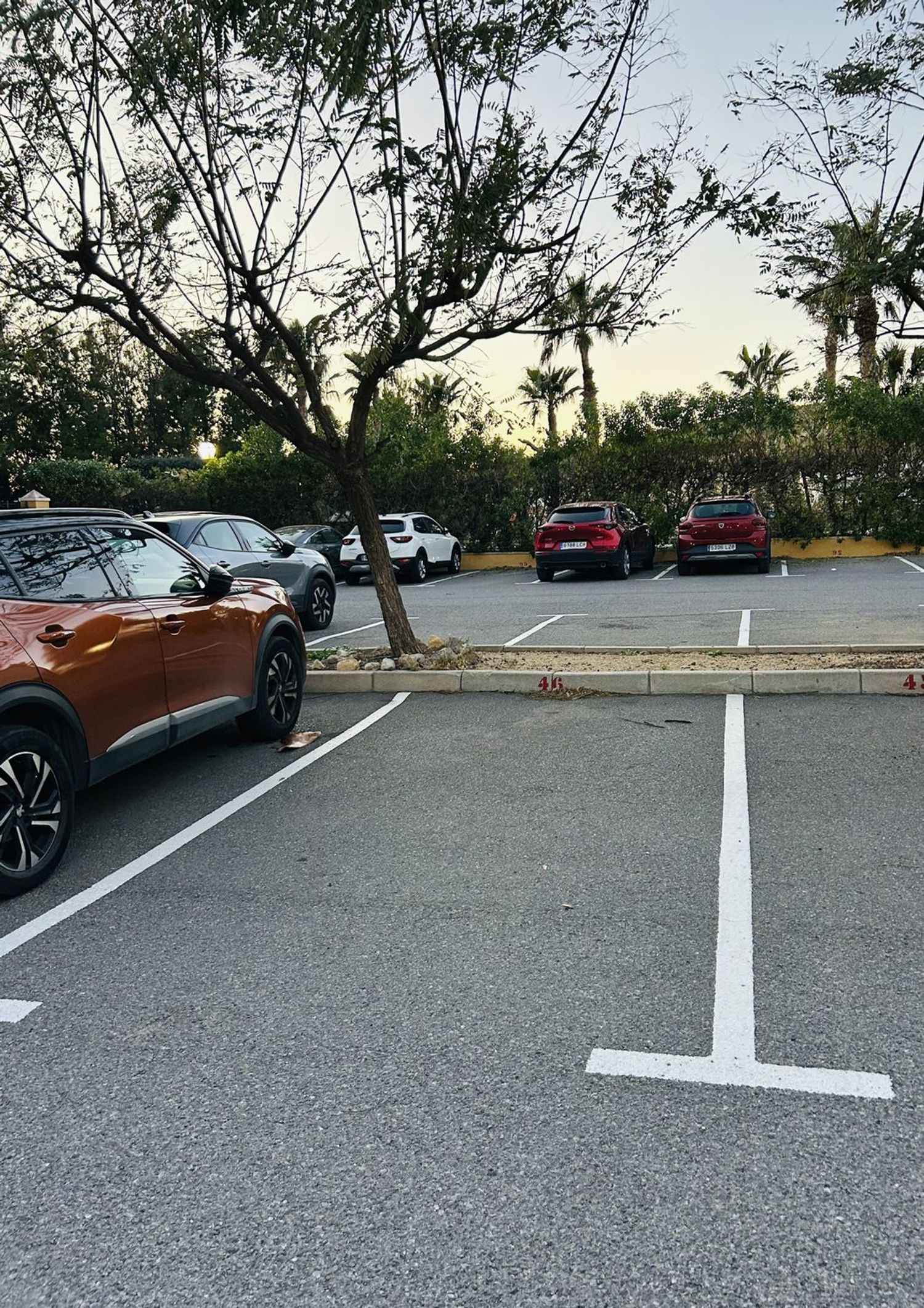 Piso en calle de la Nit, 1 - Foto 5