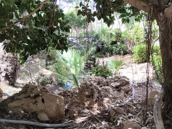 Piso en Avenida de Montecarlo, 26, Zona Sierra Helada - Foto 13