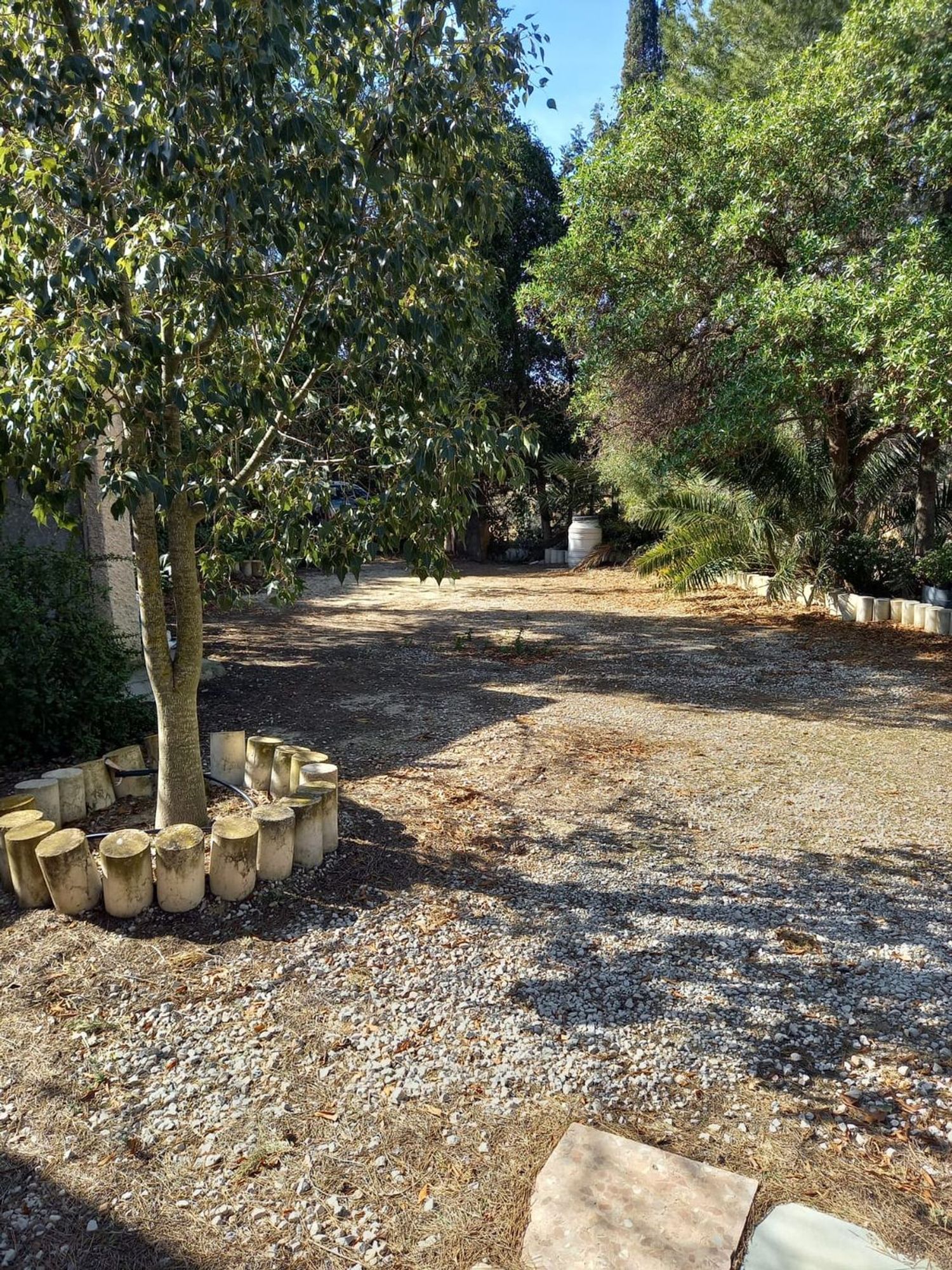 Finca rústica en carretera Puerto del Garruchal s/n - Foto 6