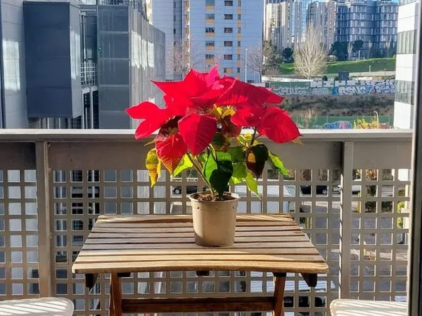 Estudio en avenida de Manoteras, 38 - Foto 3