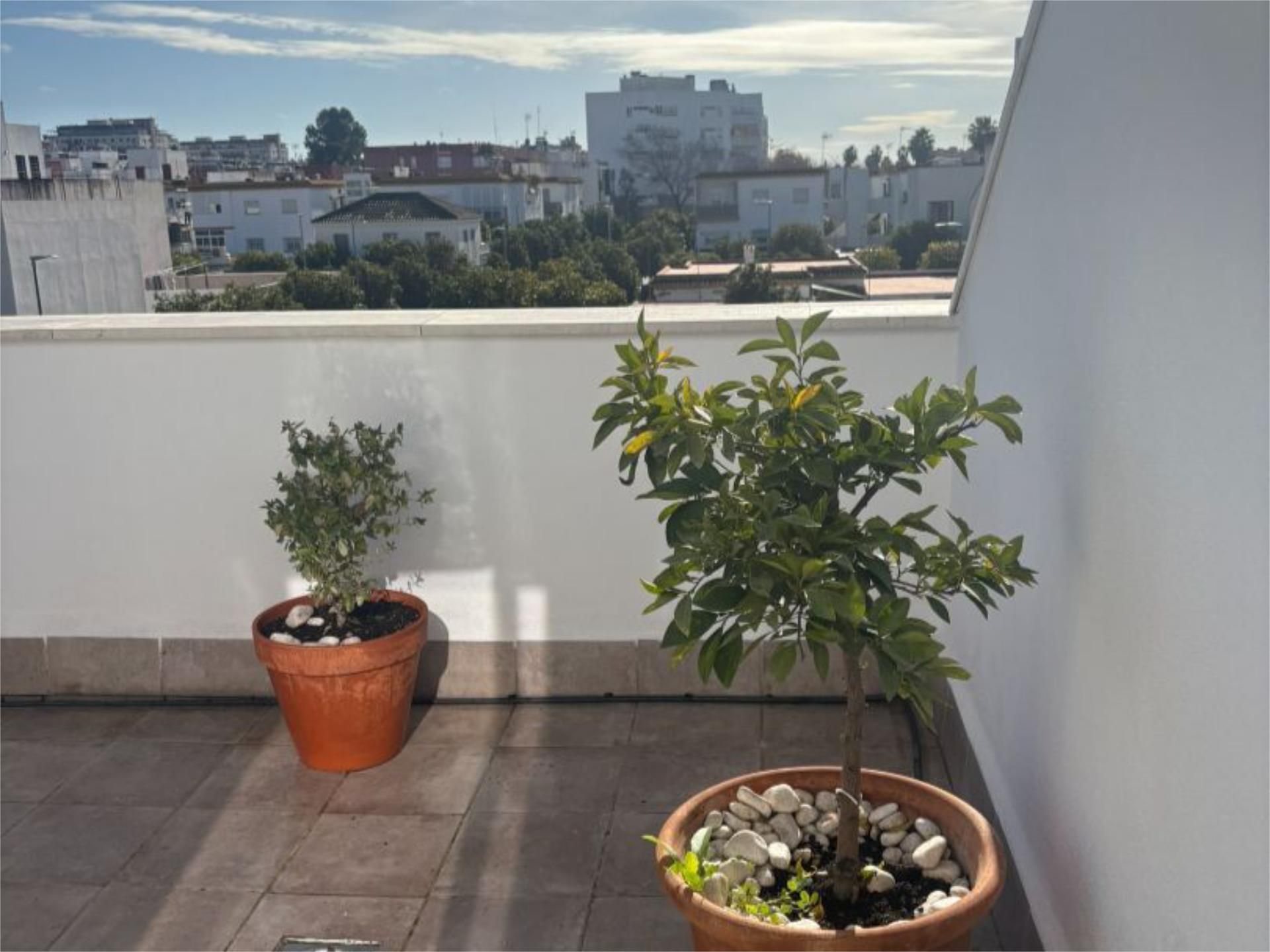 Piso en  Calle Fragata 2 - Foto 22